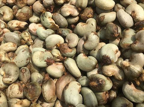 Cashew Nuts W-180
