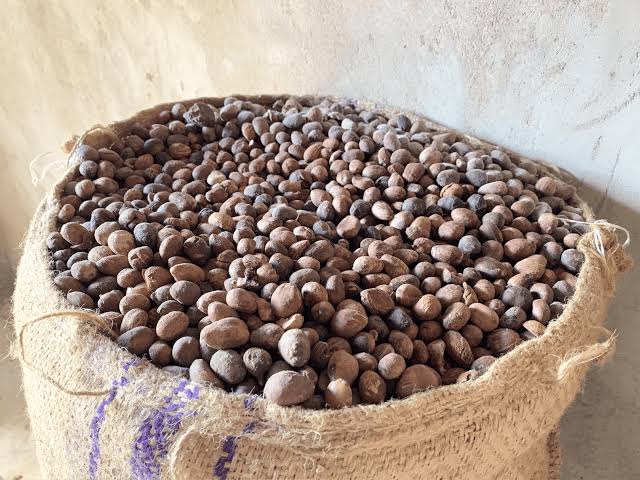 Organic Shea Butter